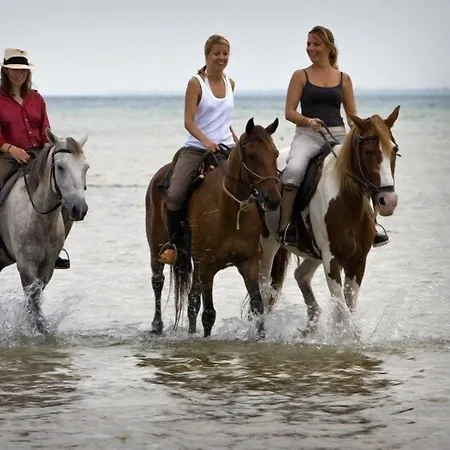 Aksel Butik Hotel Aidim