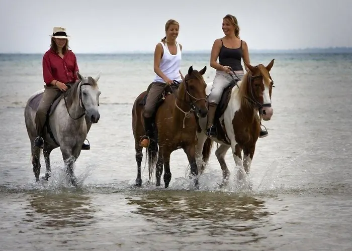 Aksel Butık Otel Aydın